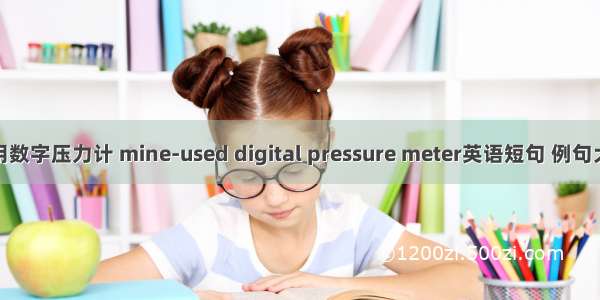 矿用数字压力计 mine-used digital pressure meter英语短句 例句大全