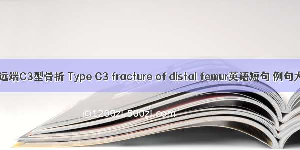 股骨远端C3型骨折 Type C3 fracture of distal femur英语短句 例句大全