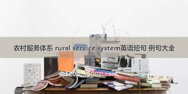 农村服务体系 rural service system英语短句 例句大全