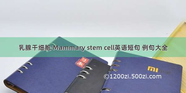 乳腺干细胞 Mammary stem cell英语短句 例句大全