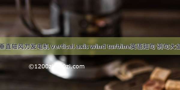 垂直轴风力发电机 vertical axis wind turbine英语短句 例句大全