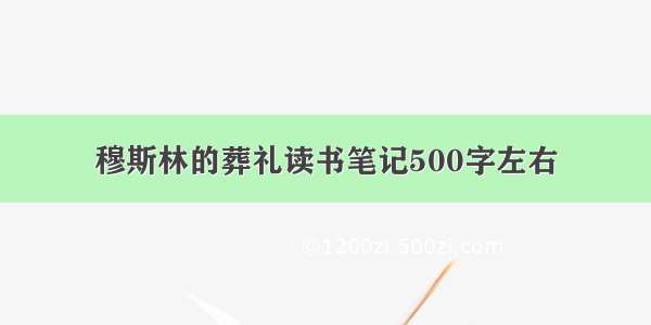 穆斯林的葬礼读书笔记500字左右