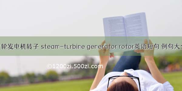 汽轮发电机转子 steam-turbine generator rotor英语短句 例句大全