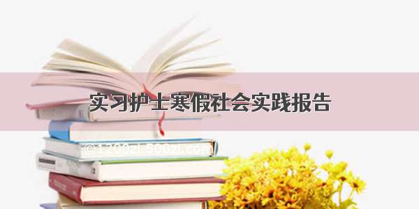 实习护士寒假社会实践报告