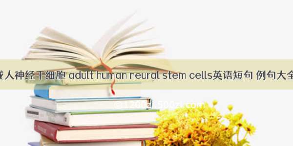 成人神经干细胞 adult human neural stem cells英语短句 例句大全
