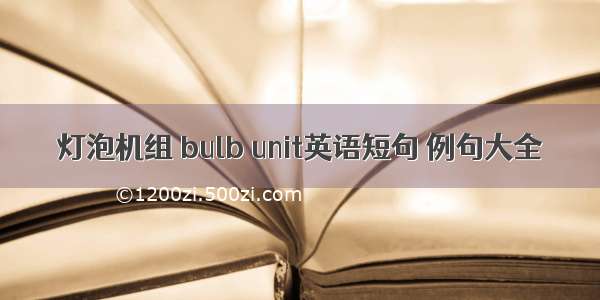 灯泡机组 bulb unit英语短句 例句大全