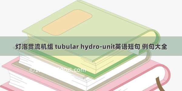 灯泡贯流机组 tubular hydro-unit英语短句 例句大全