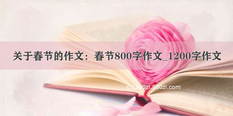 关于春节的作文：春节800字作文_1200字作文