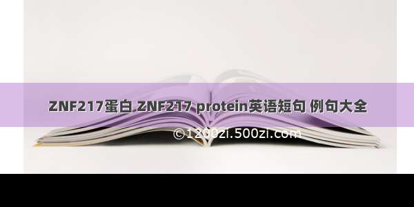 ZNF217蛋白 ZNF217 protein英语短句 例句大全