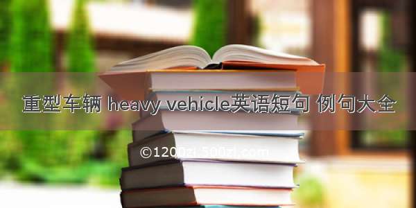 重型车辆 heavy vehicle英语短句 例句大全