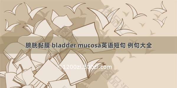 膀胱黏膜 bladder mucosa英语短句 例句大全