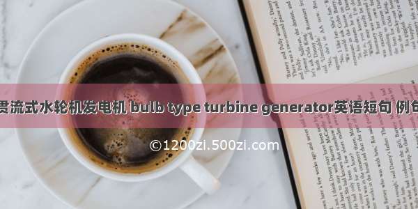 灯泡贯流式水轮机发电机 bulb type turbine generator英语短句 例句大全