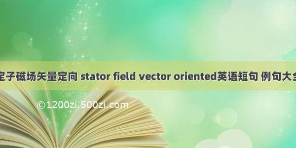 定子磁场矢量定向 stator field vector oriented英语短句 例句大全