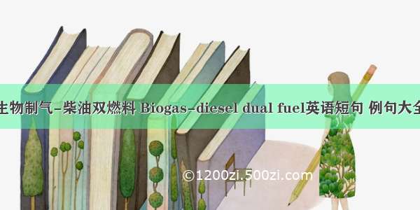 生物制气-柴油双燃料 Biogas-diesel dual fuel英语短句 例句大全