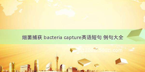 细菌捕获 bacteria capture英语短句 例句大全