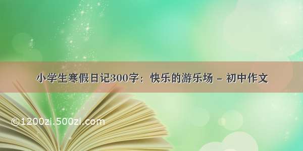 小学生寒假日记300字：快乐的游乐场 - 初中作文