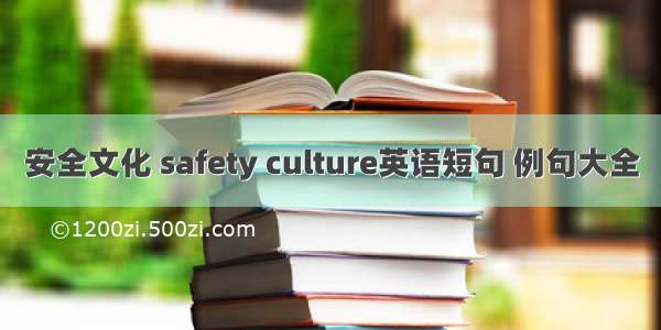 安全文化 safety culture英语短句 例句大全