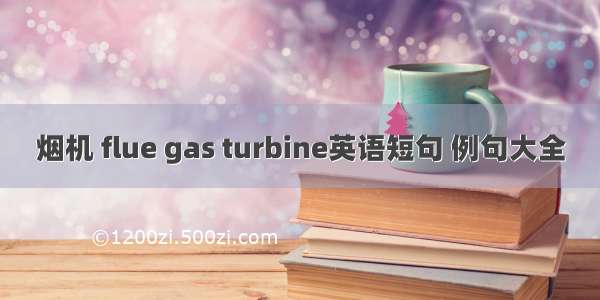 烟机 flue gas turbine英语短句 例句大全