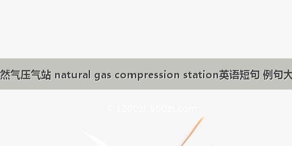 天然气压气站 natural gas compression station英语短句 例句大全