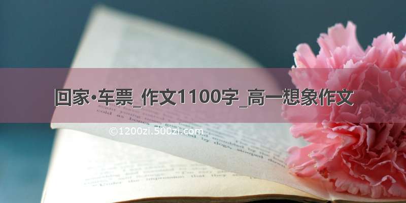 回家·车票_作文1100字_高一想象作文