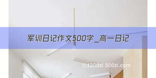 军训日记作文500字_高一日记