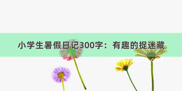 小学生暑假日记300字：有趣的捉迷藏