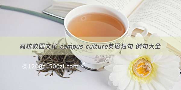 高校校园文化 campus culture英语短句 例句大全