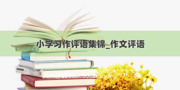 小学习作评语集锦_作文评语