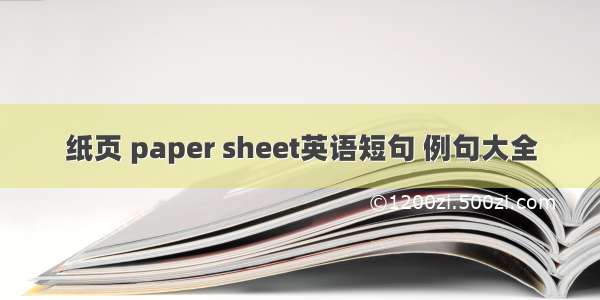 纸页 paper sheet英语短句 例句大全