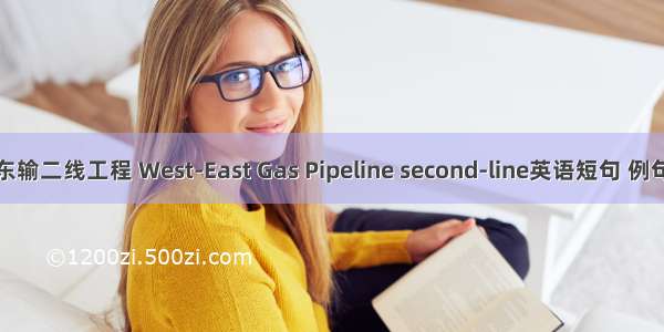 西气东输二线工程 West-East Gas Pipeline second-line英语短句 例句大全
