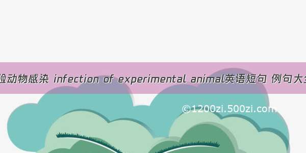 实验动物感染 infection of experimental animal英语短句 例句大全