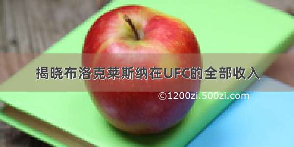 揭晓布洛克莱斯纳在UFC的全部收入