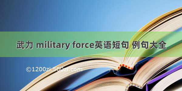 武力 military force英语短句 例句大全