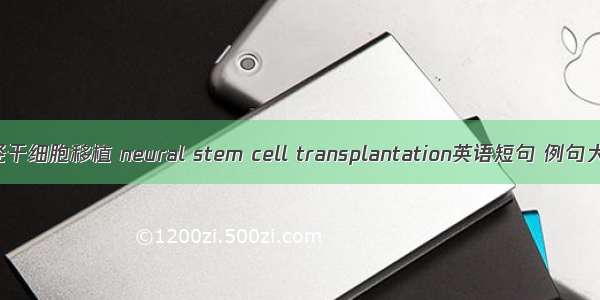 神经干细胞移植 neural stem cell transplantation英语短句 例句大全
