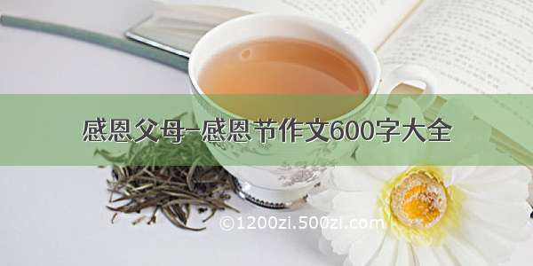 感恩父母-感恩节作文600字大全