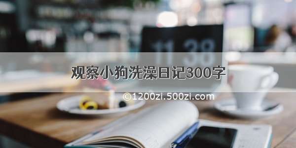 观察小狗洗澡日记300字