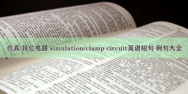 仿真/箝位电路 simulation/clamp circuit英语短句 例句大全