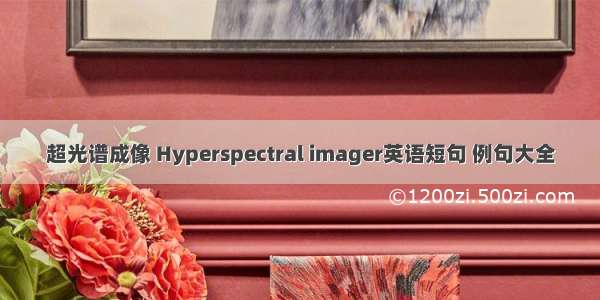 超光谱成像 Hyperspectral imager英语短句 例句大全