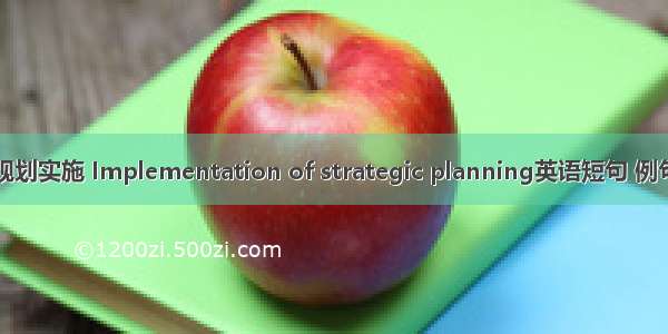 战略规划实施 Implementation of strategic planning英语短句 例句大全