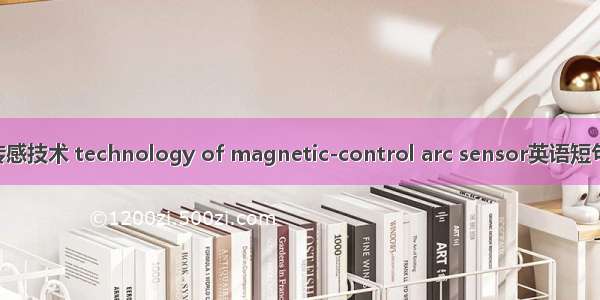 磁控电弧传感技术 technology of magnetic-control arc sensor英语短句 例句大全