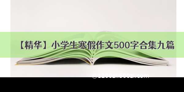 【精华】小学生寒假作文500字合集九篇
