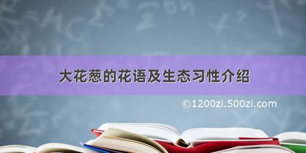 大花葱的花语及生态习性介绍