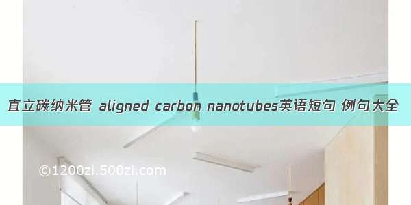 直立碳纳米管 aligned carbon nanotubes英语短句 例句大全