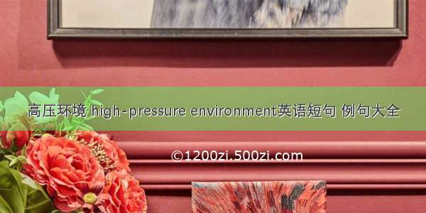 高压环境 high-pressure environment英语短句 例句大全