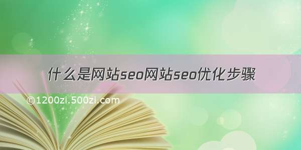 什么是网站seo网站seo优化步骤