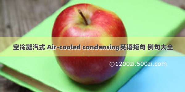 空冷凝汽式 Air-cooled condensing英语短句 例句大全