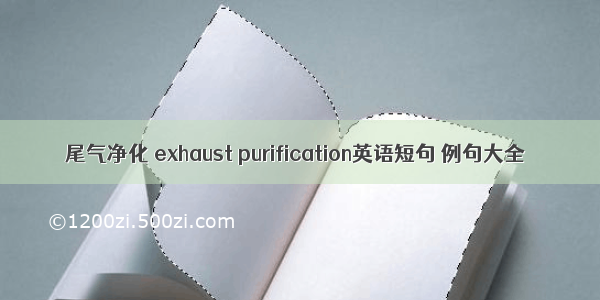 尾气净化 exhaust purification英语短句 例句大全