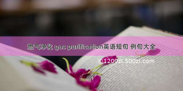 燃气净化 gas purification英语短句 例句大全