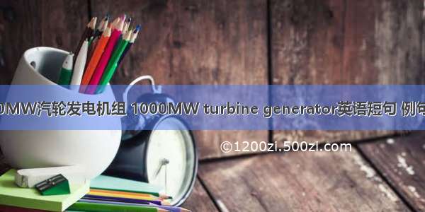 1000MW汽轮发电机组 1000MW turbine generator英语短句 例句大全