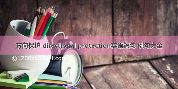 方向保护 directional protection英语短句 例句大全